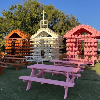 Austin Pumpkin Festival - Festivals Near Me - Austin, Texas