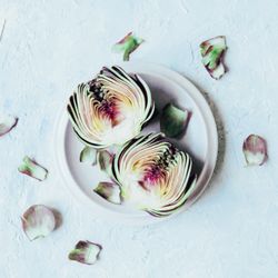 The Naturopathic Co. - The Naturopathic Co. Melbourne and Australia-wide
