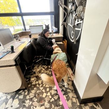 Noble Herb - Getting dried chicken treats from the front desk gal - Cannabis Clinics Near Me - Flagstaff, Arizona Noble Herb - Getting dried chicken treats from the front desk gal - Cannabis Clinics Near Me - Flagstaff, Arizona