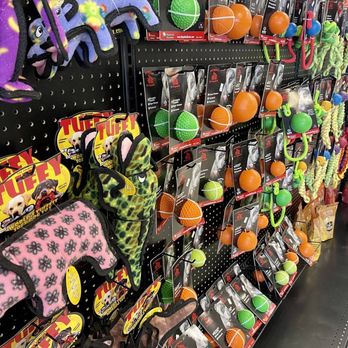 The Pitbull Store - Pet Stores Near Me - Peoria, Arizona The Pitbull Store - Pet Stores Near Me - Peoria, Arizona
