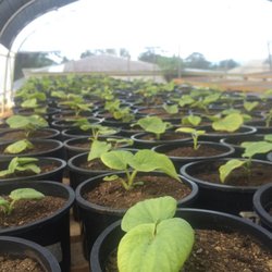 Cultivating the highest quality ingredients.