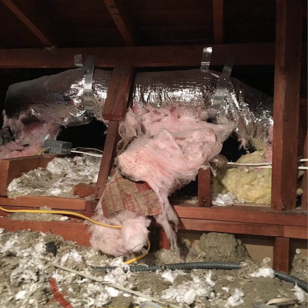 Atticare - Another before shot! - Insulation Installation Near Me - Burbank, California Atticare - Another before shot! - Insulation Installation Near Me - Burbank, California
