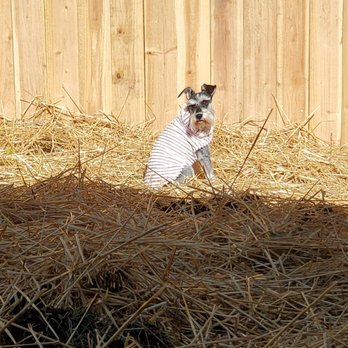 Scrub Shack - Pet Boarding Near Me - Columbia, Tennessee Scrub Shack - Pet Boarding Near Me - Columbia, Tennessee