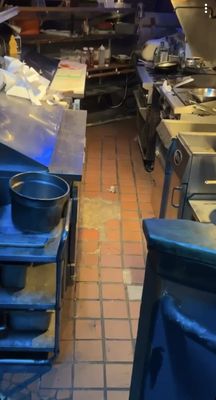 Photo of Flowers Bar & Restaurant - Seattle, WA, US. Health code violation