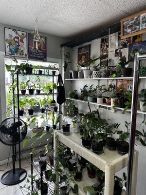 Plants & Vintage Clothing