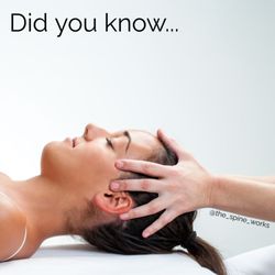The Spine Works - Did you know there are 8 cranial bones?
That's right, EIGHT!!!!
Visiting a naprapath allows those bones to be adjusted...