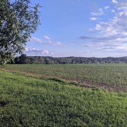 Molasses Creek Park - One of the many beautiful views from the upper loop near sunset.