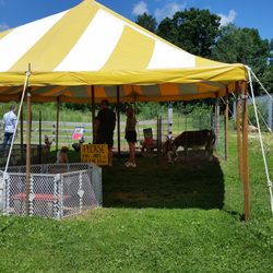 Maximum Load Fireworks - Free Petting Zoo!