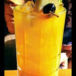 Nomad Lounge - Leaping Lizard