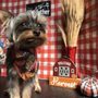 Photo of The Dog Father Pet Parlor