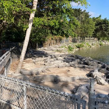 Everglades Nature Tours - Fishing Near Me - Parkland, Florida