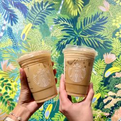 Starbucks - BOGO fall drinks!! pumpkin cream cold foam chai latte & pumpkin shaken oat latte
