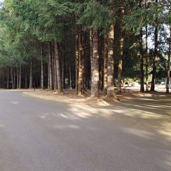 Richardson Park Campground - Campgrounds Near Me - Junction City, Oregon Richardson Park Campground - Campgrounds Near Me - Junction City, Oregon