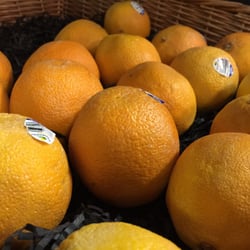 Gate Food Post - These oranges might be just a little past their "use by" date...