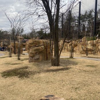 Kangaroo Walkabout - Zoos Near Me - Cincinnati, Ohio