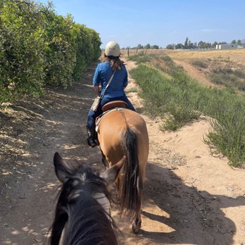 Wine Country Trails by Horseback - Tours Near Me - Temecula, California