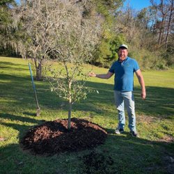 Benton Tree Service - Owner Tim Benton