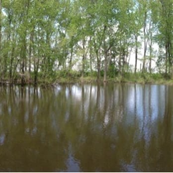 Douglas-Hart Nature Center - Parks Near Me - Mattoon, Illinois Douglas-Hart Nature Center - Parks Near Me - Mattoon, Illinois