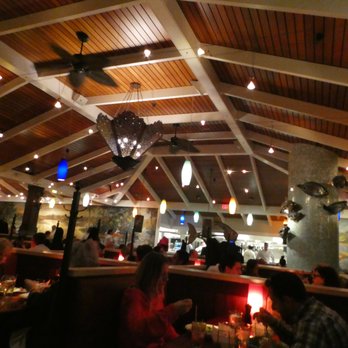 Coastal Flats - Nice ambience - copyright (c) ahikethroughlife - Seafood Near Me - Mclean, Virginia Coastal Flats - Nice ambience - copyright (c) ahikethroughlife - Seafood Near Me - Mclean, Virginia