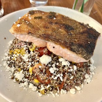 The Desert Spoon - Salmon salad - Desserts Near Me - Spring Branch, Texas The Desert Spoon - Salmon salad - Desserts Near Me - Spring Branch, Texas