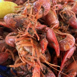 Shuck Me - Spicy but delish Craw Dads