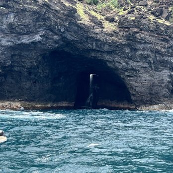 Capt Andy's - Boat Tours Near Me - Ele'ele, Hawaii Capt Andy's - Boat Tours Near Me - Ele'ele, Hawaii
