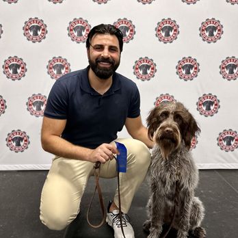 Houston DogWorks - Pet Training Near Me - Houston, Texas Houston DogWorks - Pet Training Near Me - Houston, Texas