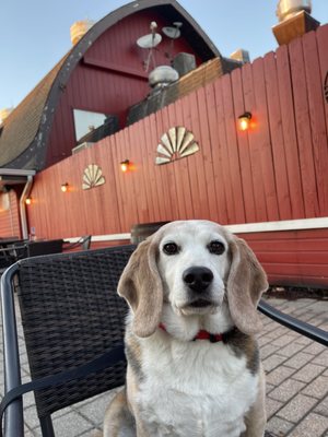 The Red Barn Restaurant and Brewery by null