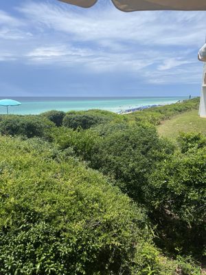 Crabby Steves Highpointe by null