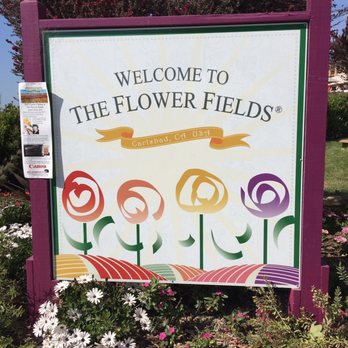 The Flower Fields - Venues & Event Spaces Near Me - Carlsbad, California