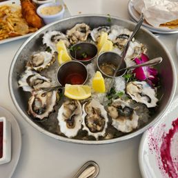 Oysters