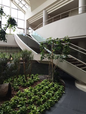Rusutsu Resort Hotel & Convention by null