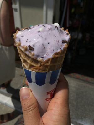 Robin's Nest by null