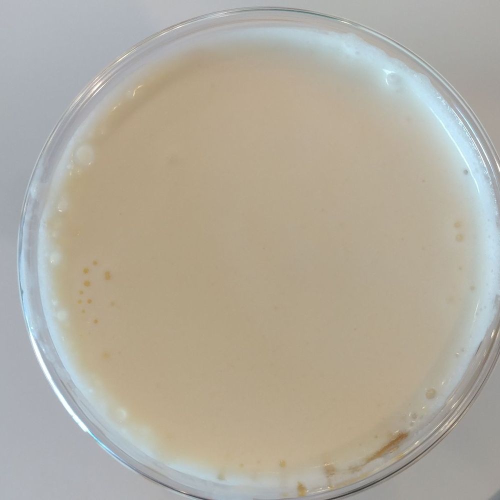 Iceskimo - Tiger Milk Tea - Desserts Near Me - Chula Vista, California Iceskimo - Tiger Milk Tea - Desserts Near Me - Chula Vista, California
