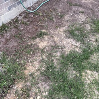 Purple Care - Lawn Care & Pest Control Fort Worth - Pest Control Near Me - Fort Worth, Texas Purple Care - Lawn Care & Pest Control Fort Worth - Pest Control Near Me - Fort Worth, Texas