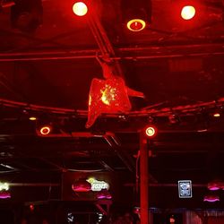 The Grizzly Rose
