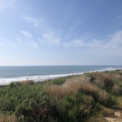 Ventura River Group Camp