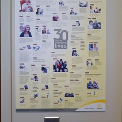 Greenville Ear, Nose & Throat Associates