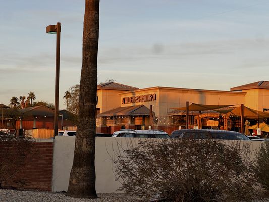Arizona Wilderness Gilbert Brewpub by null