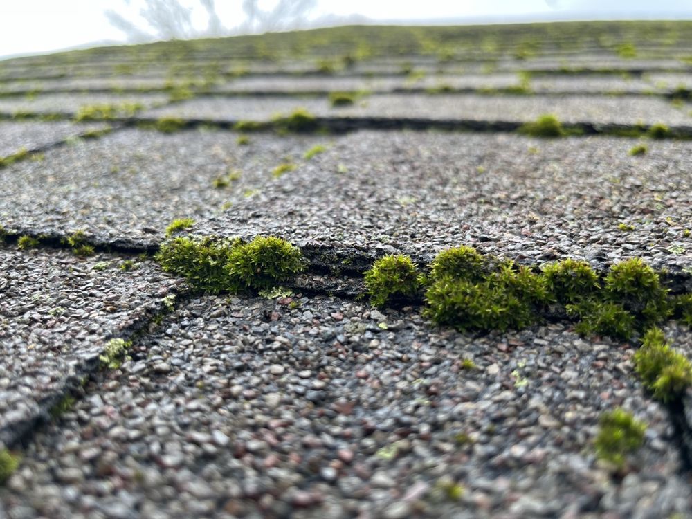 GUTTER GURU INC Updated June 2024 10 Photos Portage, Indiana