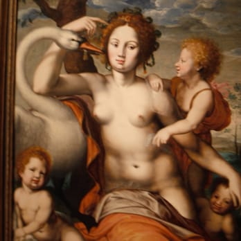 Seattle Art Museum - And what do swan's represent, my children? - Art Museums Near Me - Seattle, Washington