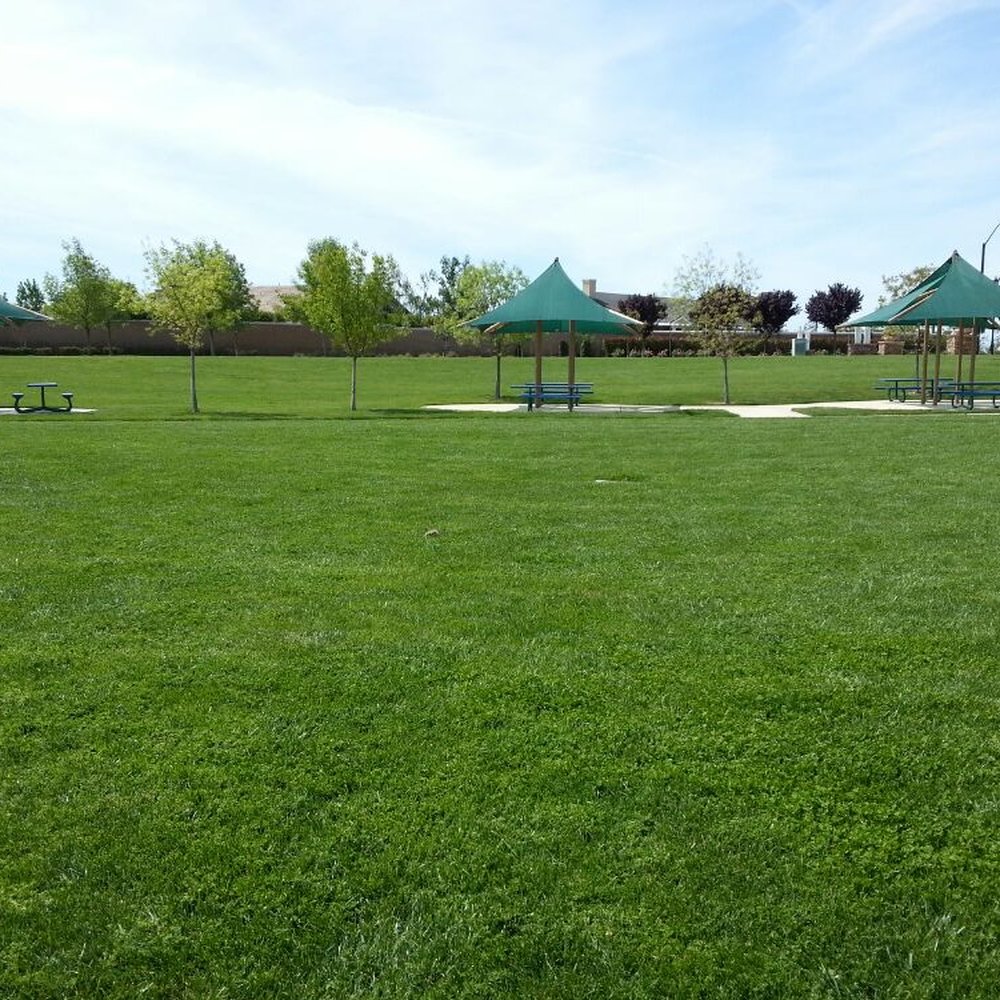 Novarina Park - Parks Near Me - Oakley, California Novarina Park - Parks Near Me - Oakley, California