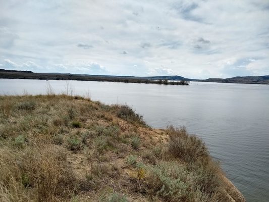 Angostura Recreation Area by null