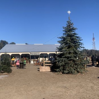 Goldenman Tree Farm - Exterior picture of the gift shop and concessions. - Christmas Trees Near Me - Zimmerman, Minnesota Goldenman Tree Farm - Exterior picture of the gift shop and concessions. - Christmas Trees Near Me - Zimmerman, Minnesota