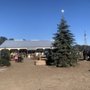 Photo of Goldenman Tree Farm