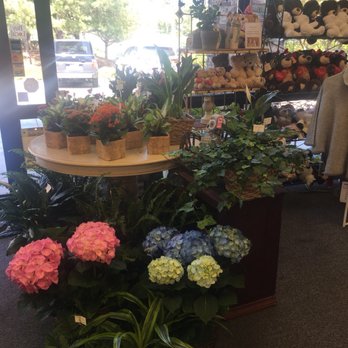Victoria Park Florist - Florists Near Me - Chapel Hill, North Carolina Victoria Park Florist - Florists Near Me - Chapel Hill, North Carolina