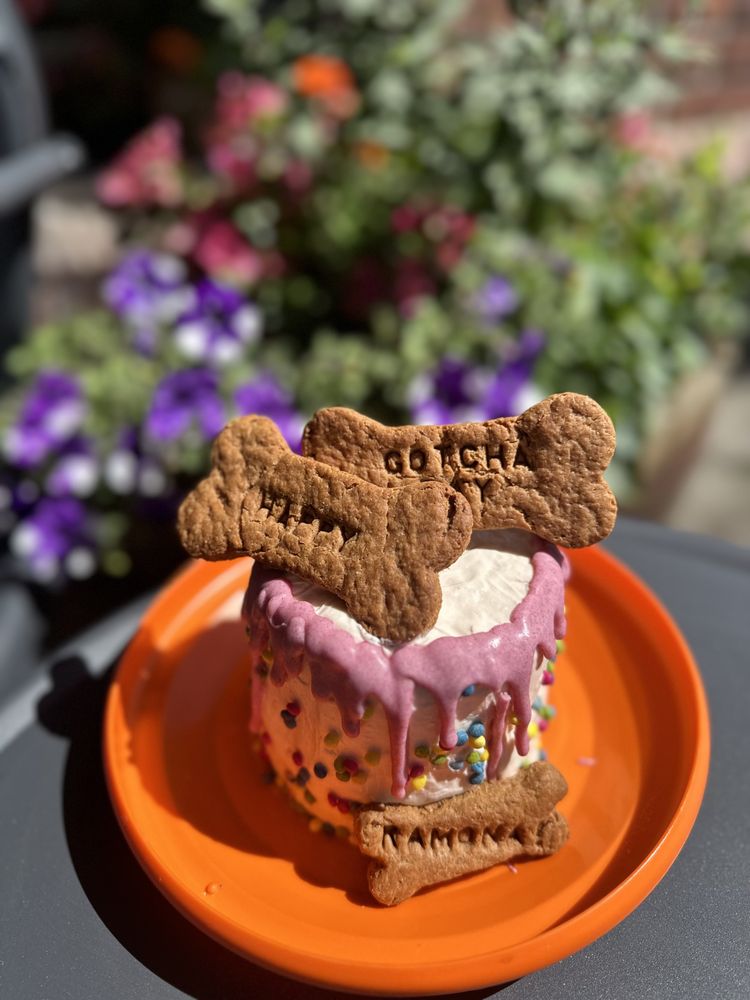 BUDDY’S BARKERY Updated August 2024 17 Photos 109 E 3rd Ave