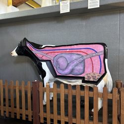 Southwest Dairy Center & Museum