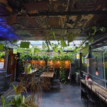 Krasa - Interior, with an eastern European dance party greenhouse patio vibe, which is exactly what you're looking for! - Burgers Near Me - Chicago, Illinois Krasa - Interior, with an eastern European dance party greenhouse patio vibe, which is exactly what you're looking for! - Burgers Near Me - Chicago, Illinois