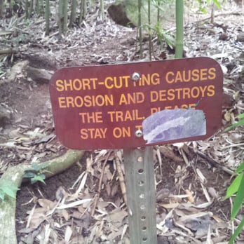 Judd Trail - kokua - Hiking Near Me - Honolulu, Hawaii